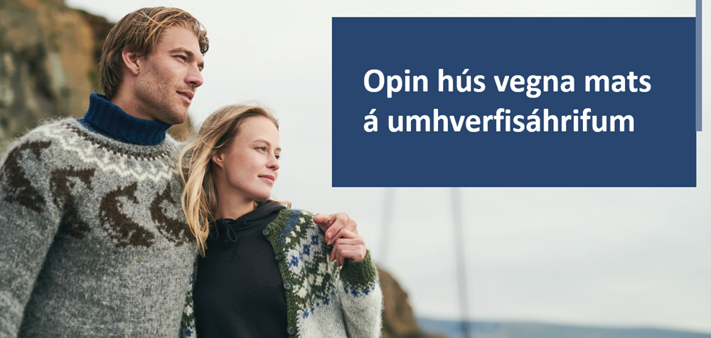 Framkvæmd