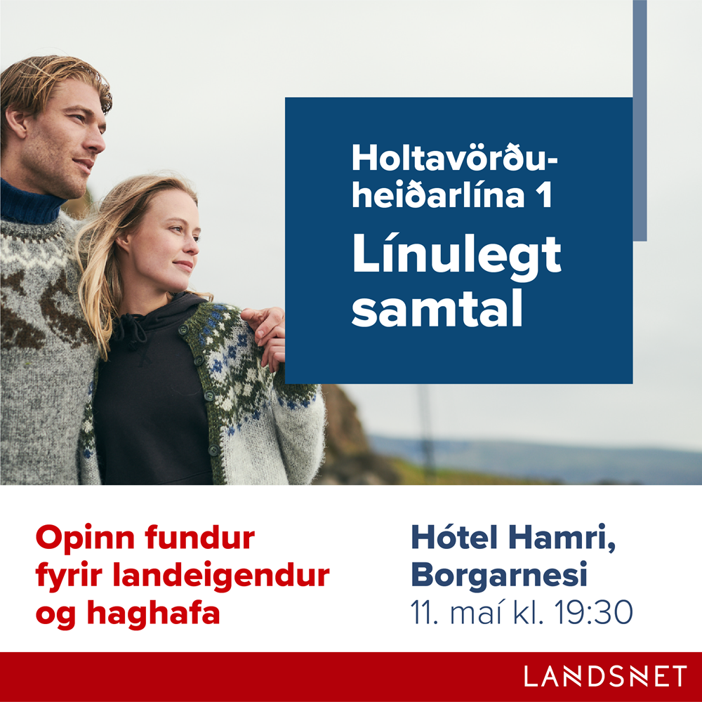 Framkvæmd